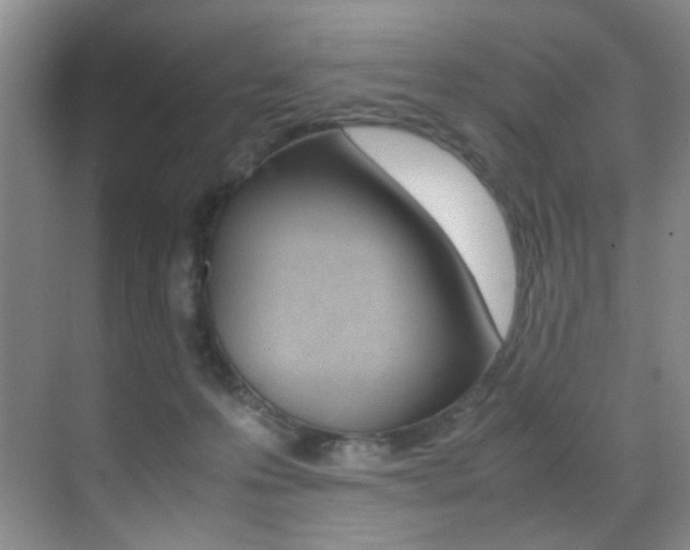 X0000070250223200606021007