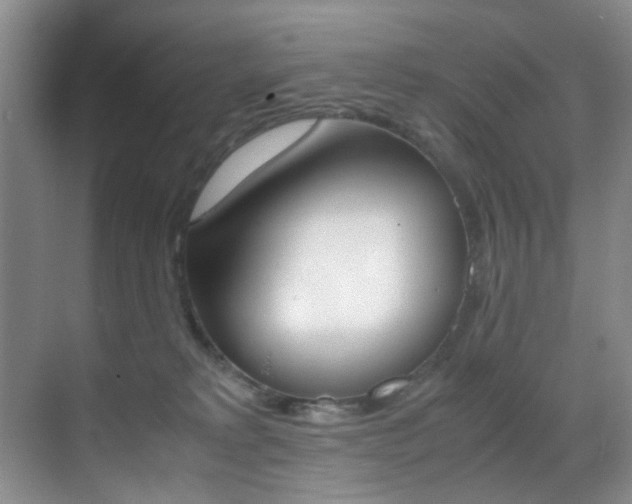 X0000070250229200606021007