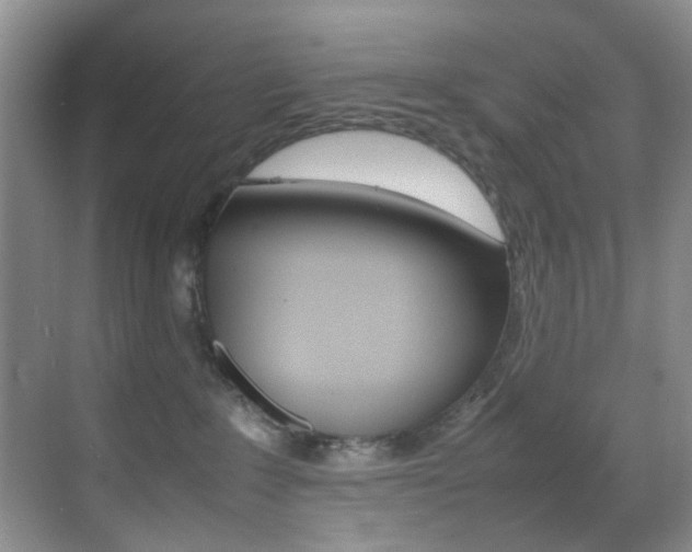 X0000070250235200606021007