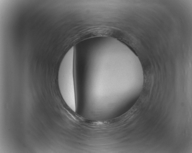 X0000070250239200606021006