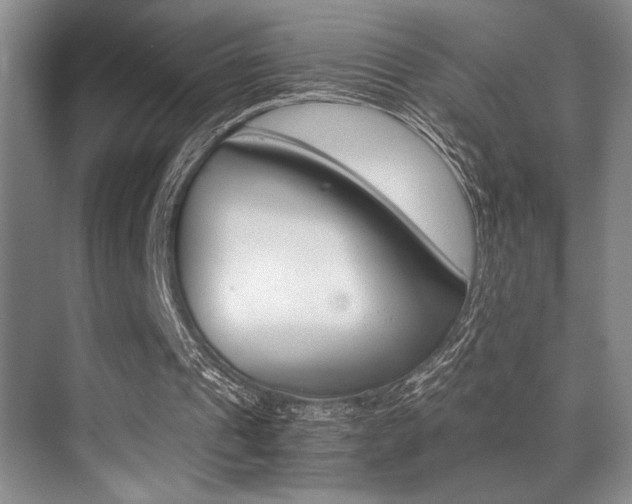 X0000070250241200606021006