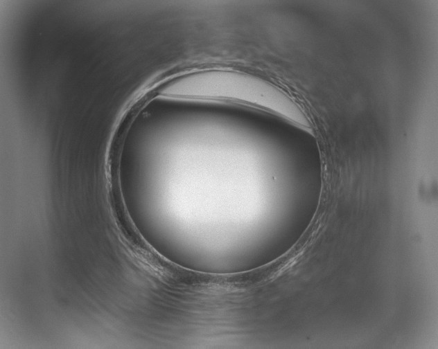 X0000070250246200606021006