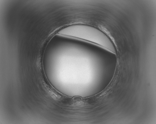 X0000070250249200606021006