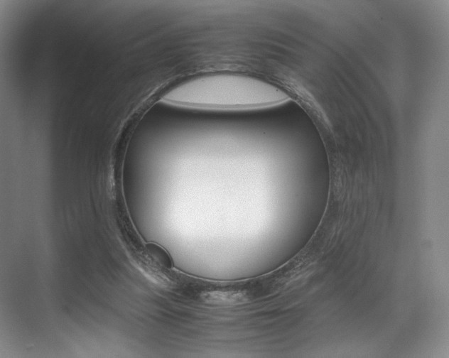 X0000070250251200606021006
