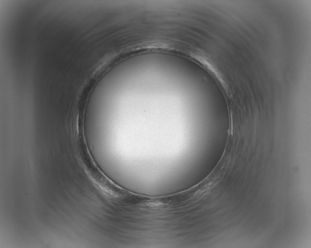 X0000070250253200606021006