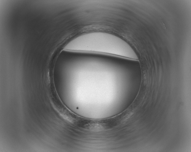 X0000070250254200606021006