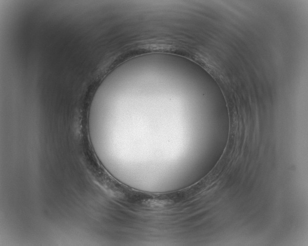 X0000070250255200606021006