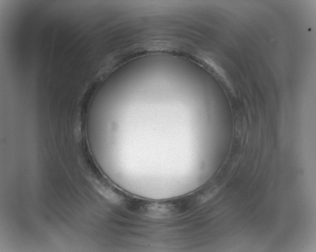 X0000070250261200606021006