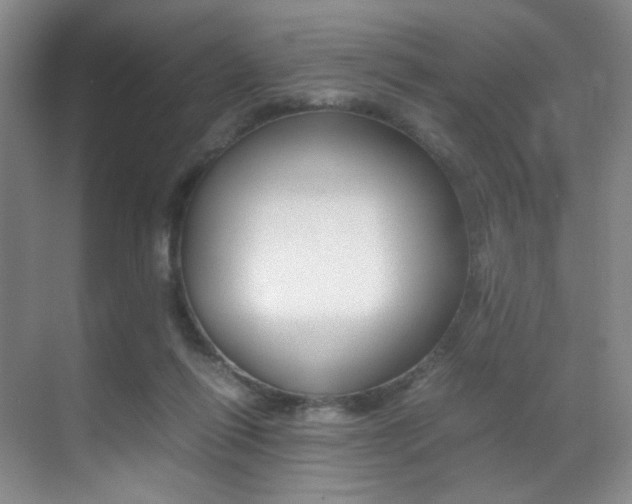 X0000070250262200606021006