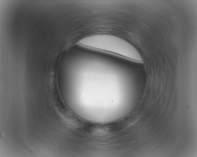 X0000070250263200606021006