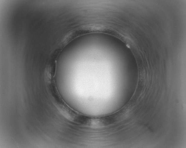 X0000070250264200606021006