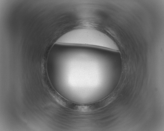 X0000070250265200606021006