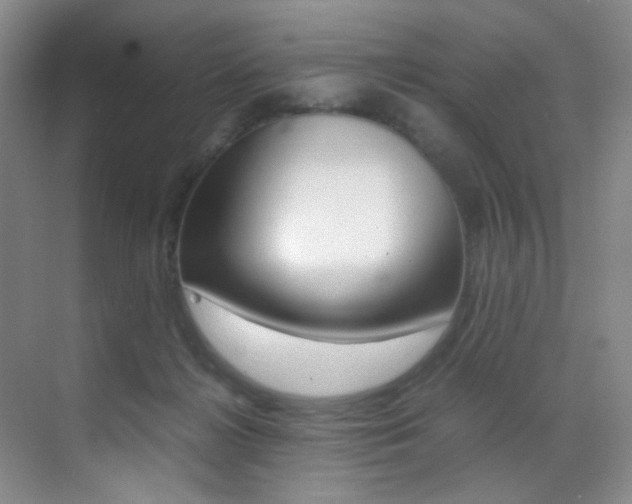 X0000070250268200606021006
