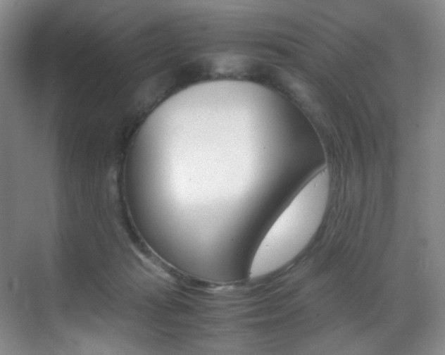 X0000070250269200606021006