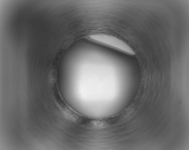 X0000070250272200606021006