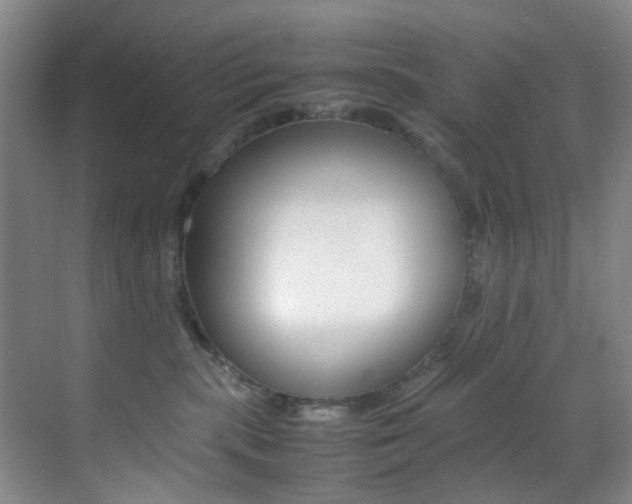 X0000070250283200606021006