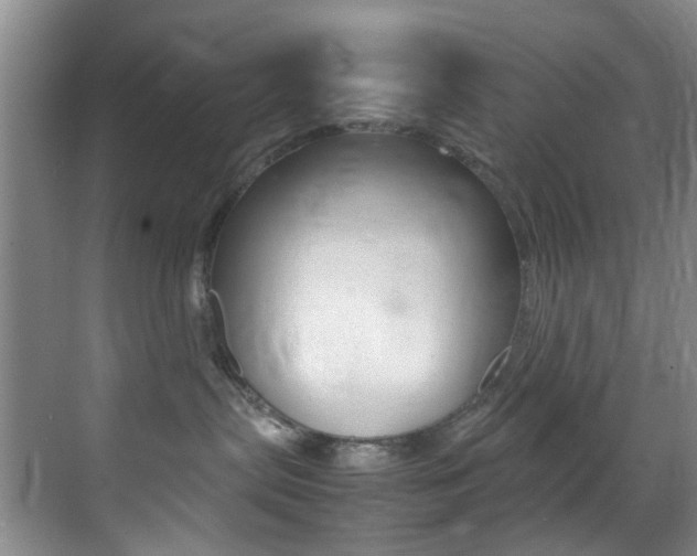 X0000070250287200606021006