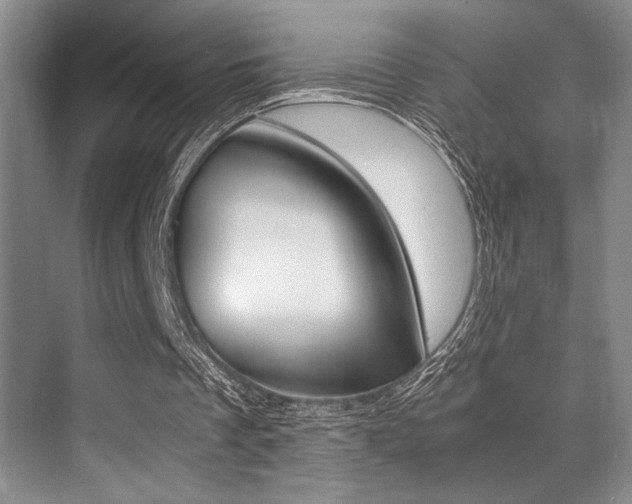 X0000070250289200606021006