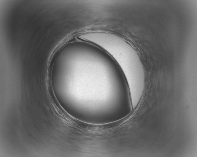 X0000070250293200606021006