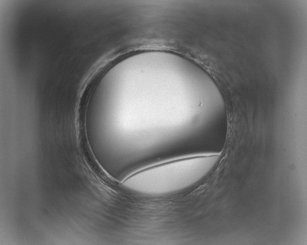 X0000070250296200606021006