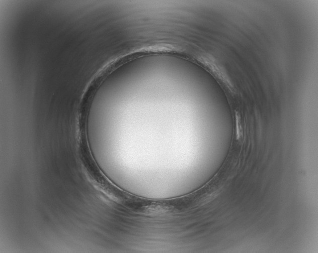 X0000070250300200606021005