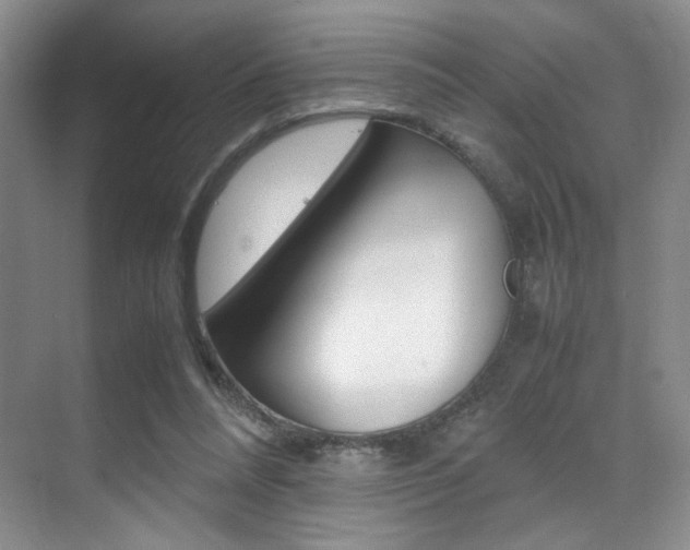 X0000070250304200606021005