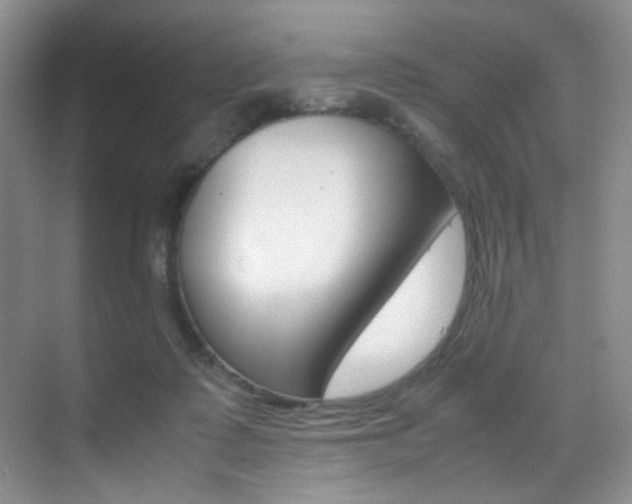 X0000070250315200606021005