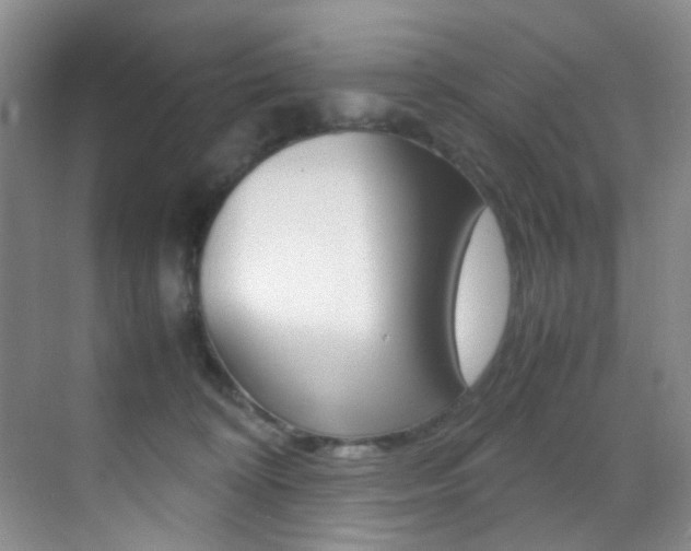 X0000070250324200606021005