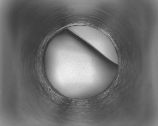 X0000070250337200606021004