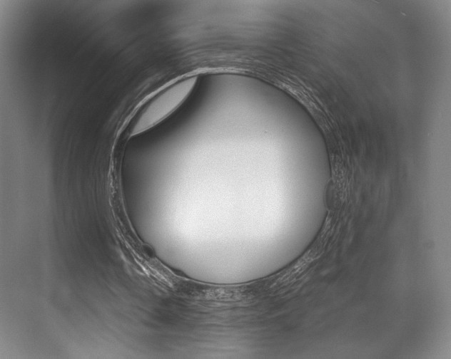 X0000070250338200606021004