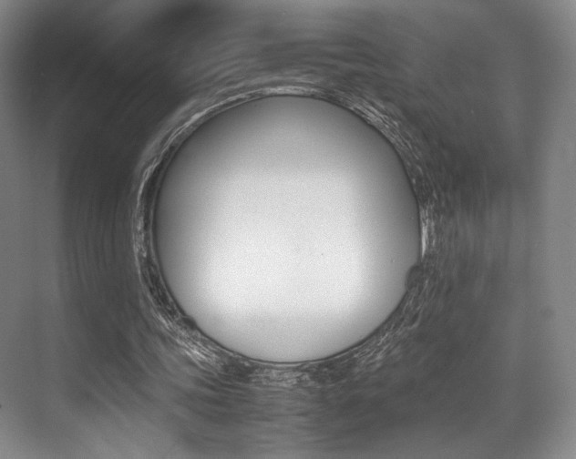 X0000070250339200606021004
