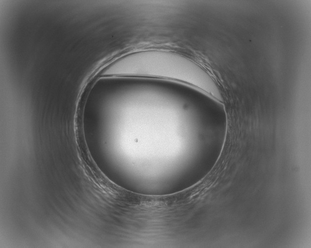 X0000070250340200606021004