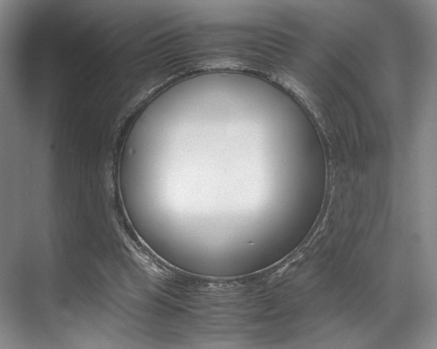 X0000070250345200606021004