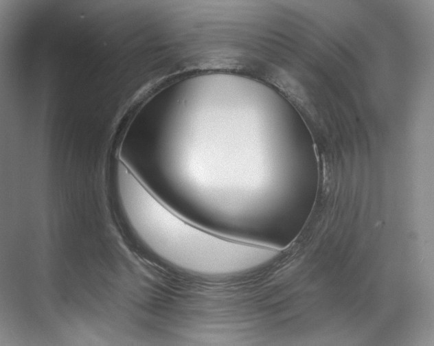 X0000070250348200606021004