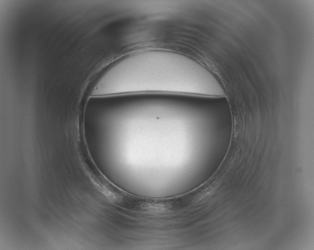 X0000070250349200606021004