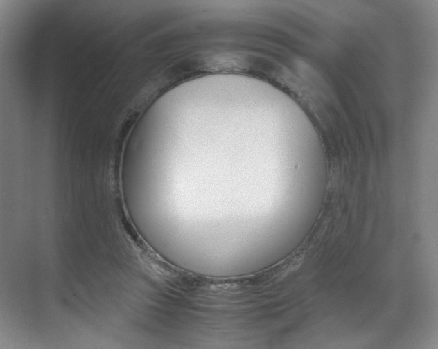 X0000070250353200606021004