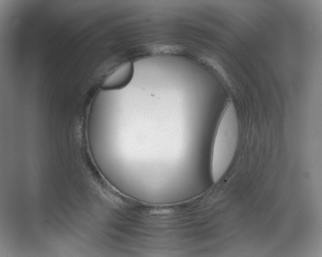 X0000070250357200606021004