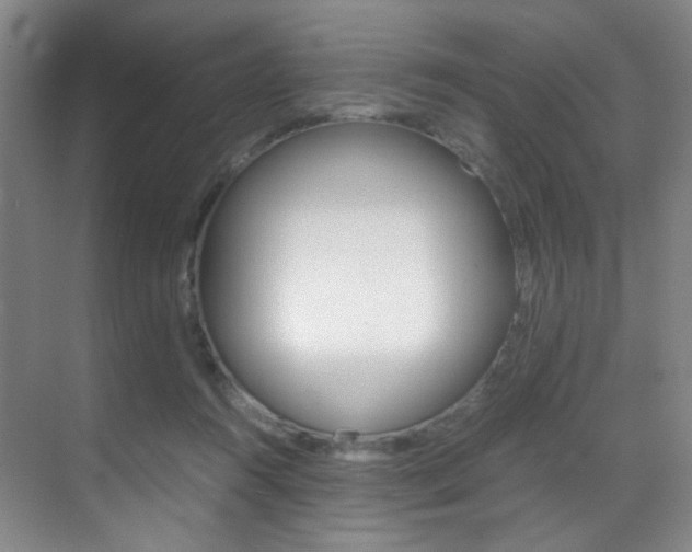 X0000070250360200606021004