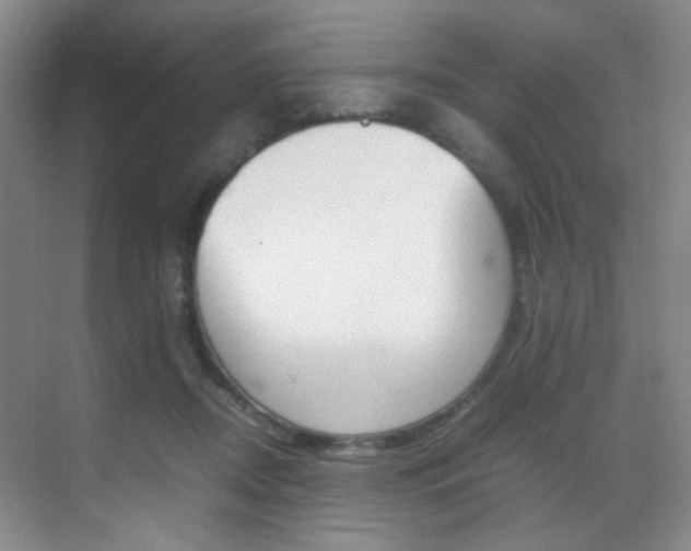 X0000070250362200606021004