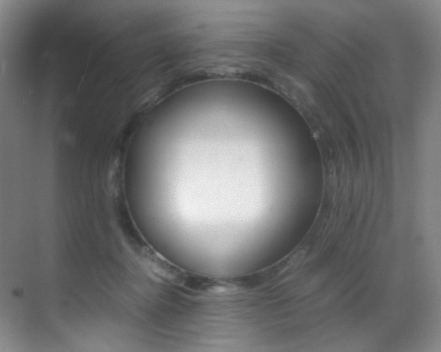 X0000070250364200606021005