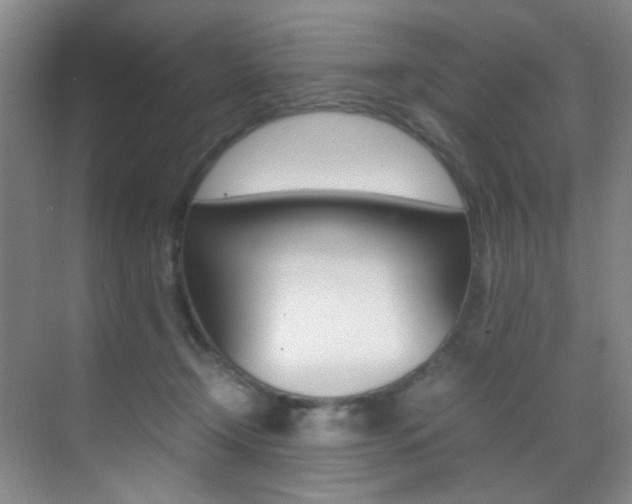 X0000070250366200606021005