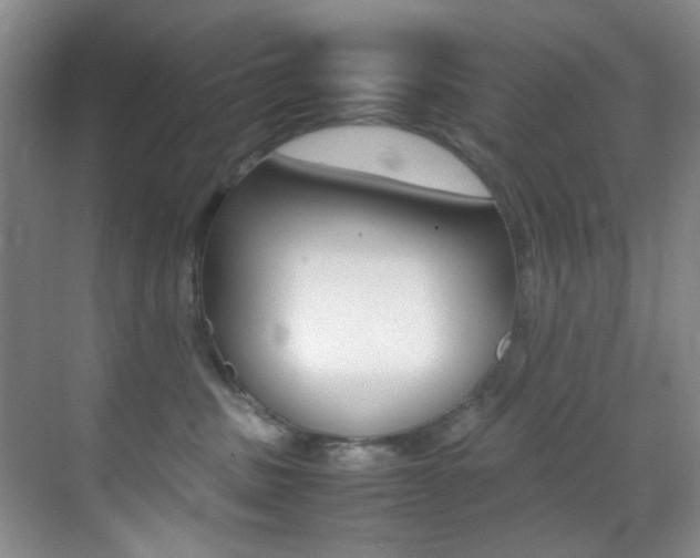 X0000070250379200606021005
