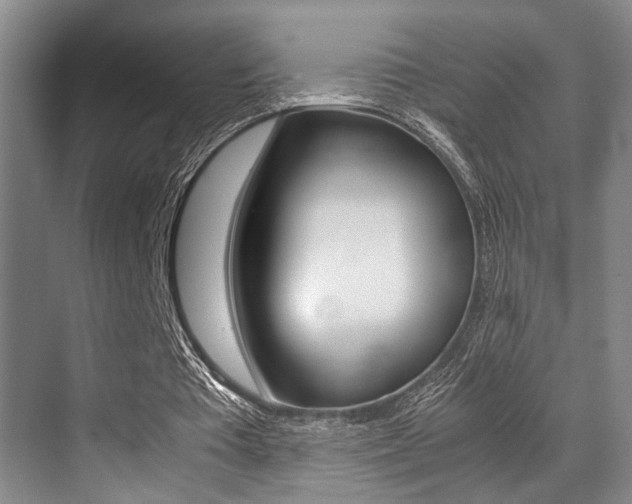 X0000070250385200606021004