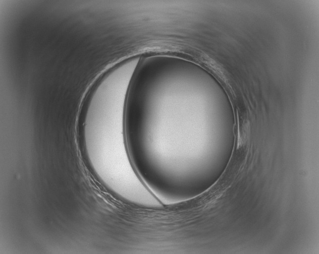 X0000070250387200606021004