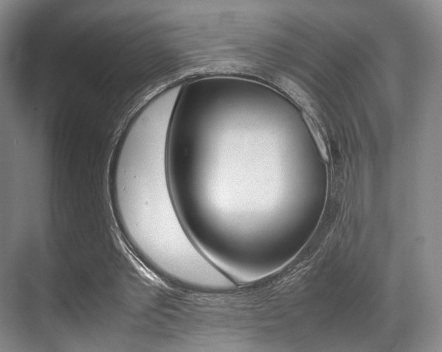 X0000070250389200606021004