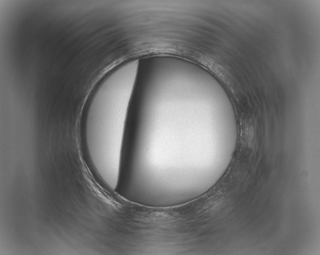 X0000070250390200606021004