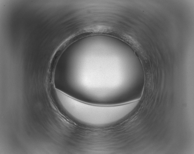 X0000070250392200606021004