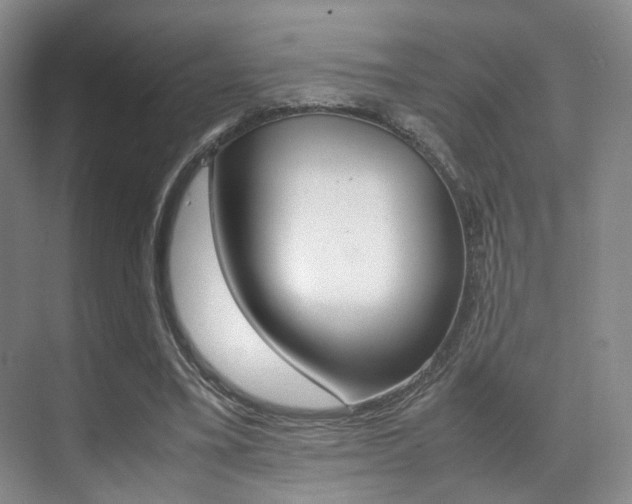 X0000070250395200606021004