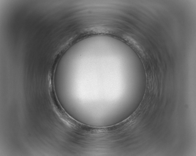 X0000070250398200606021004