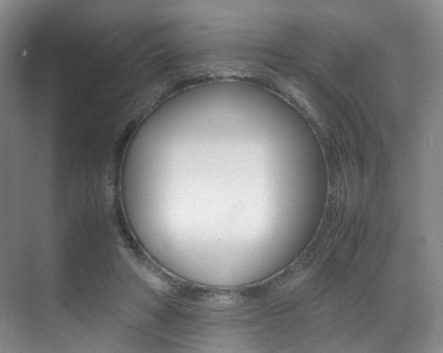 X0000070250402200606021004